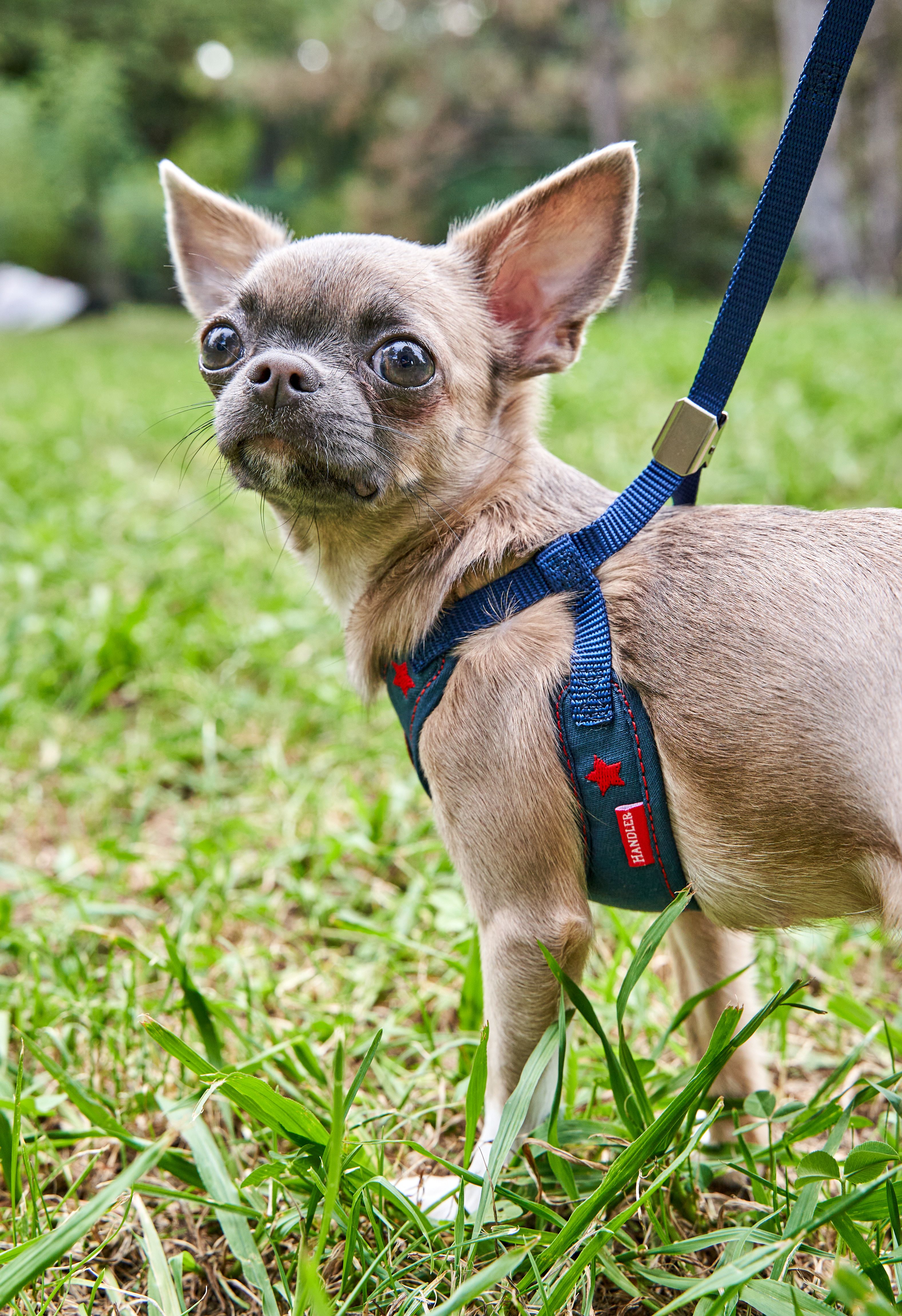 Produkt DAH0684413 Bild 5