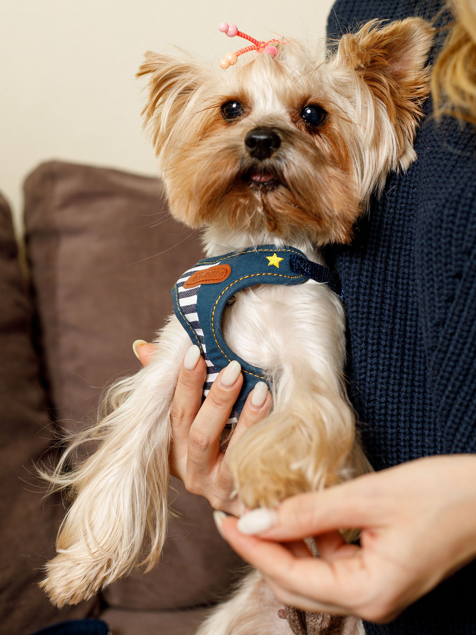 Produkt DAH0684420 Bild 10