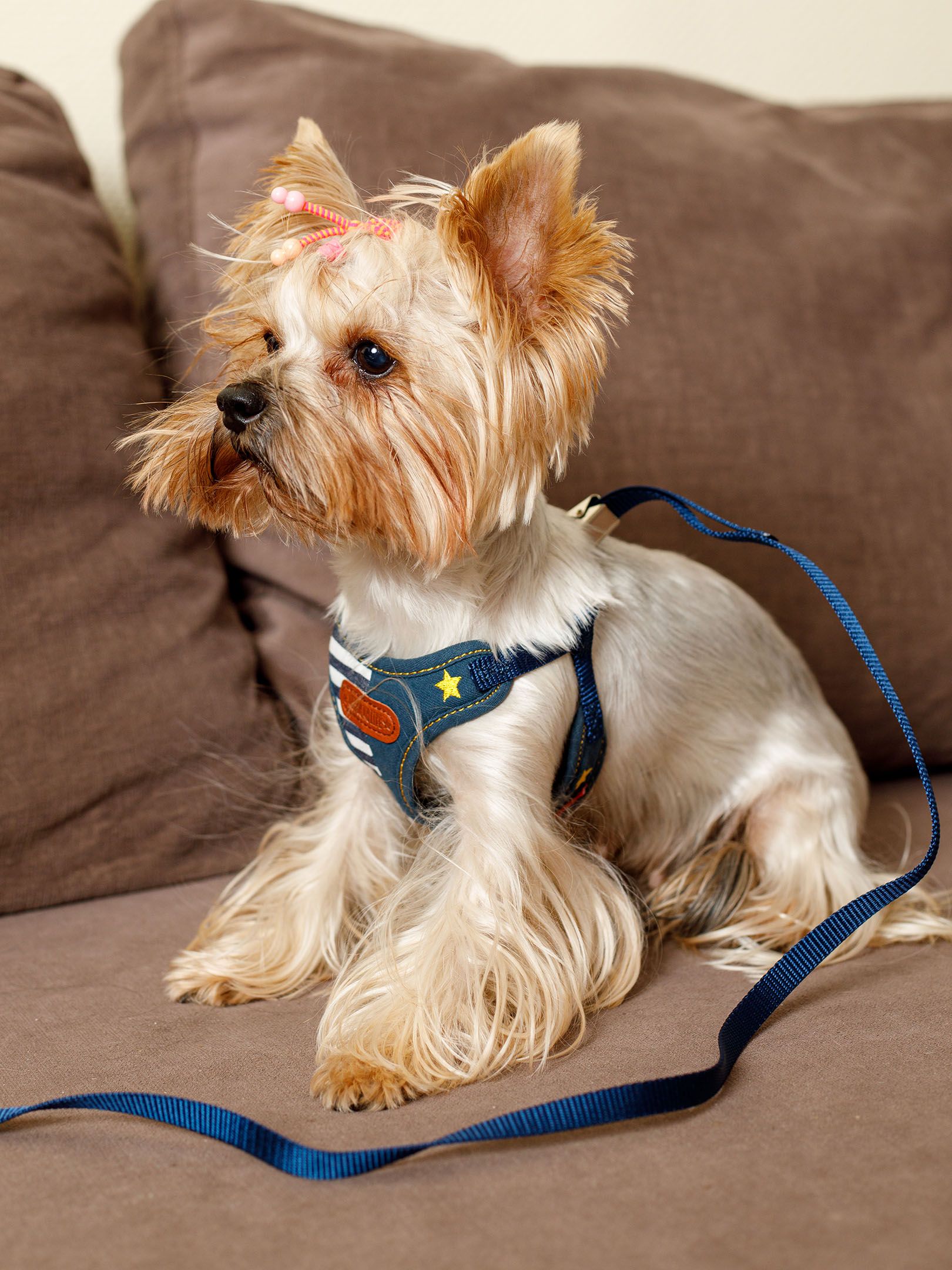 Produkt DAH0684420 Bild 11