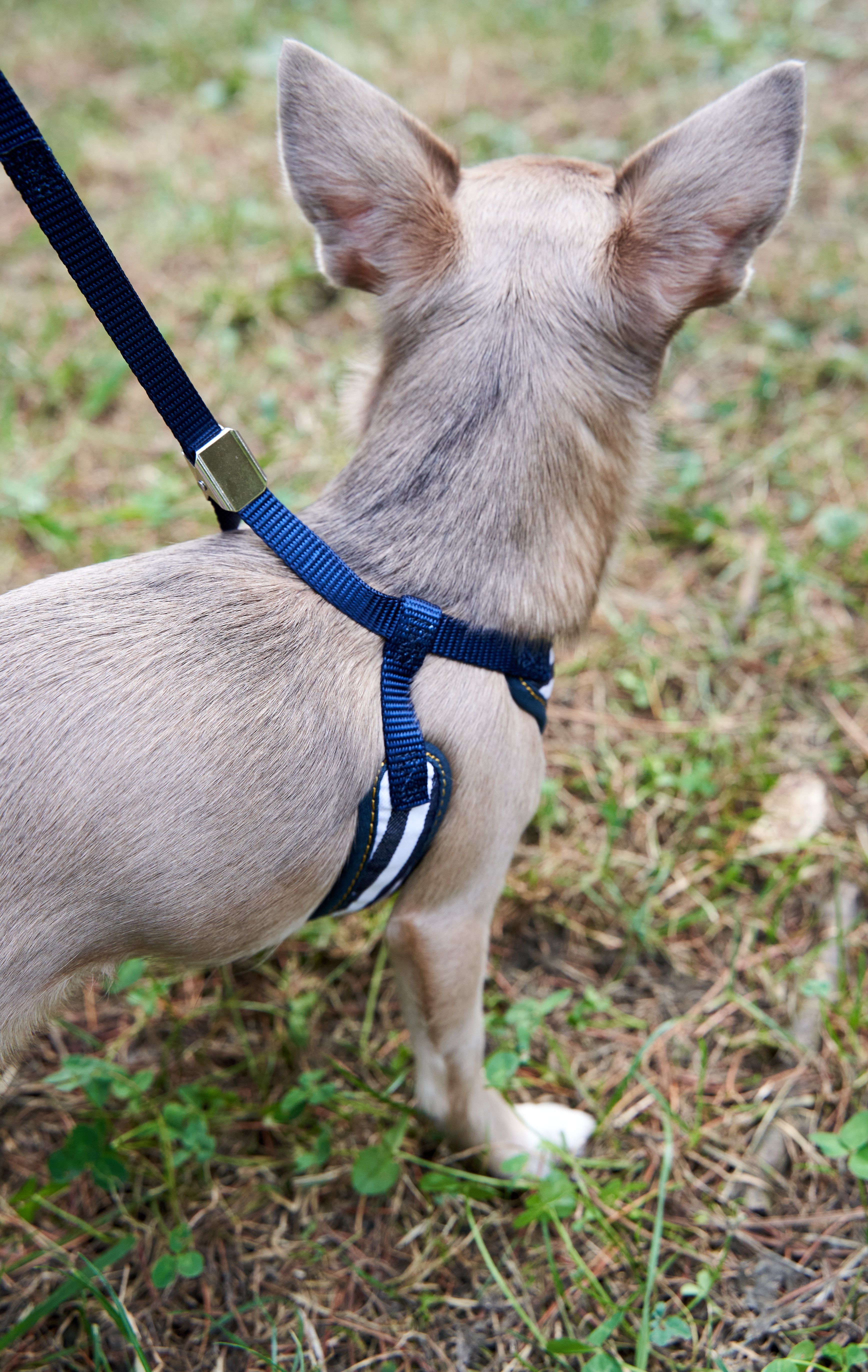 Produkt DAH0684420 Bild 2