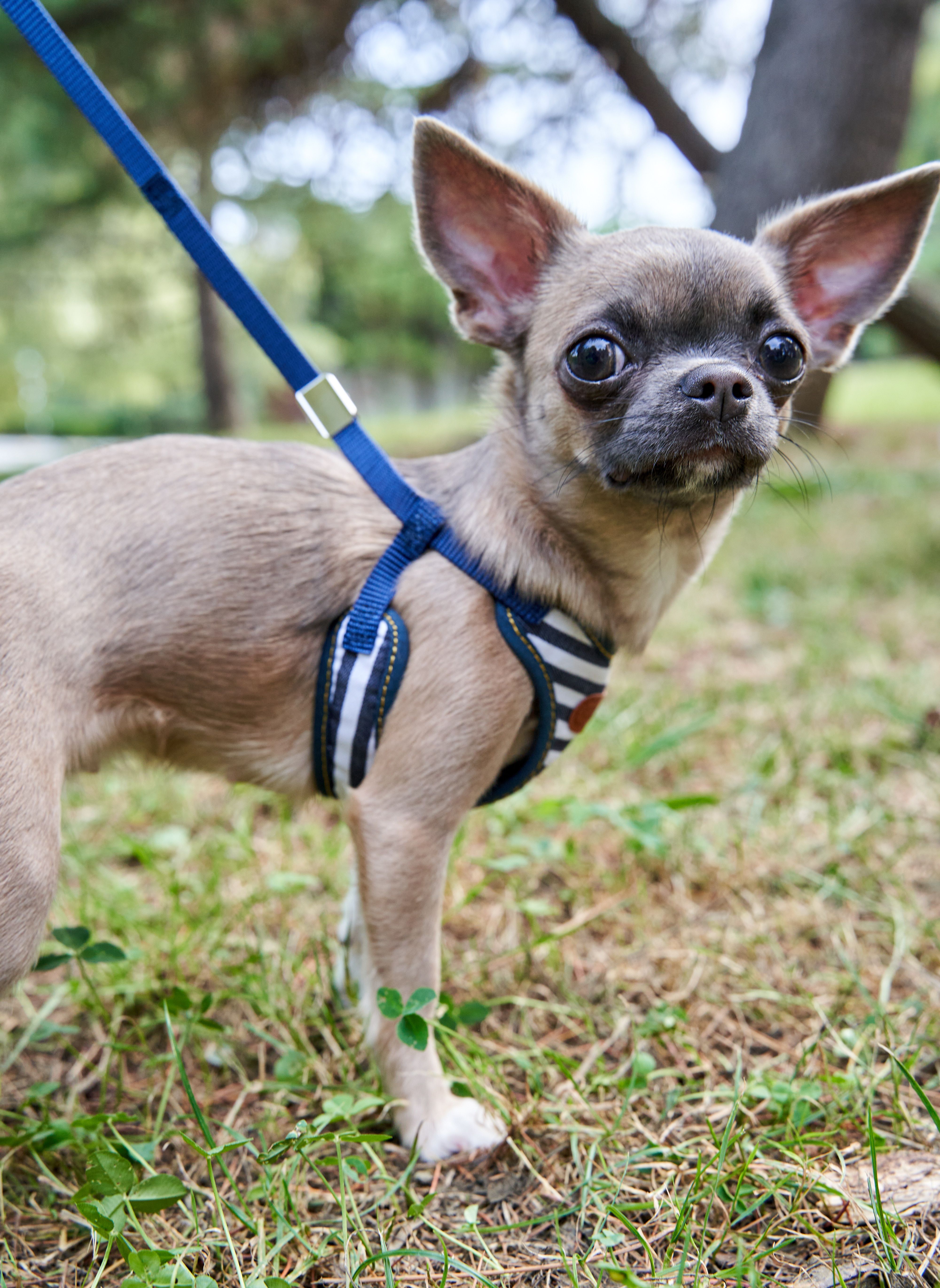 Produkt DAH0684420 Bild 3