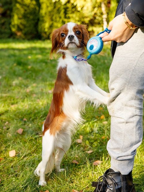 Produkt DAL0925166 Bild 3