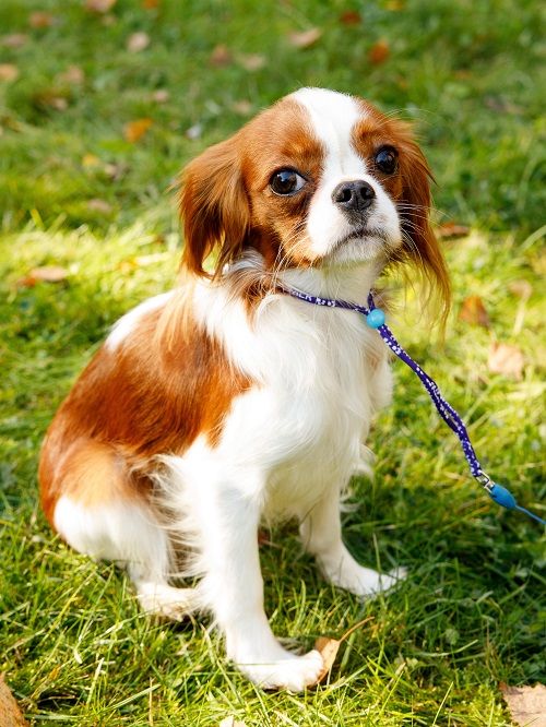 Produkt DAL0925166 Bild 4