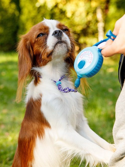 Produkt DAL0925166 Bild 5