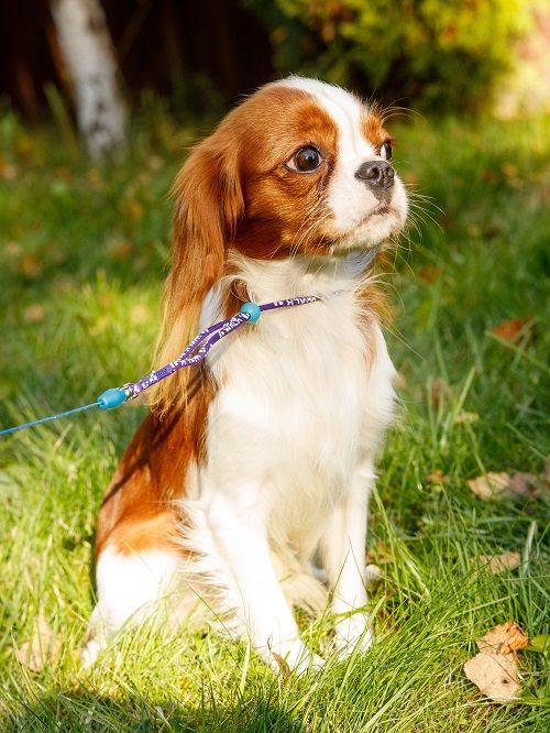 Produkt DAL0925166 Bild 6