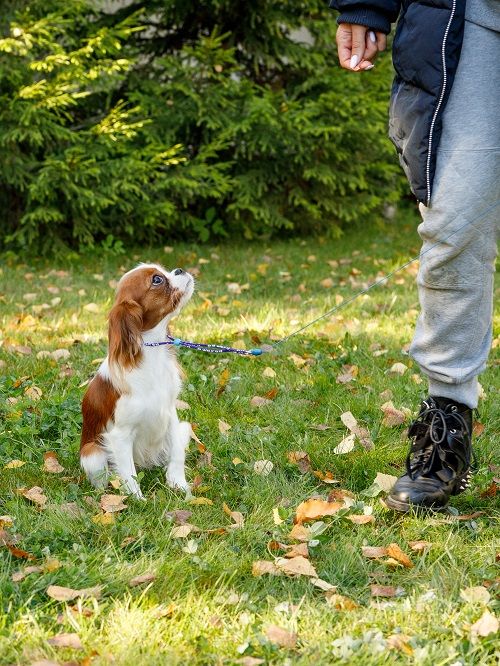 Produkt DAL0925166 Bild 7