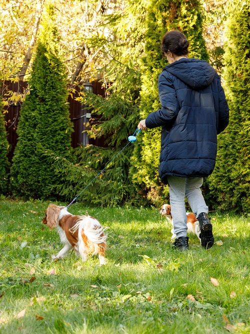 Produkt DAL0925166 Bild 8