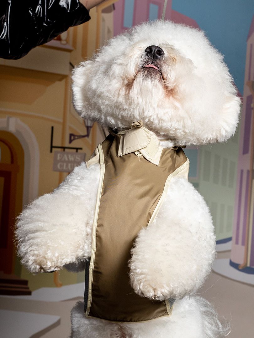 Produkt DCR0223802 Bild 4