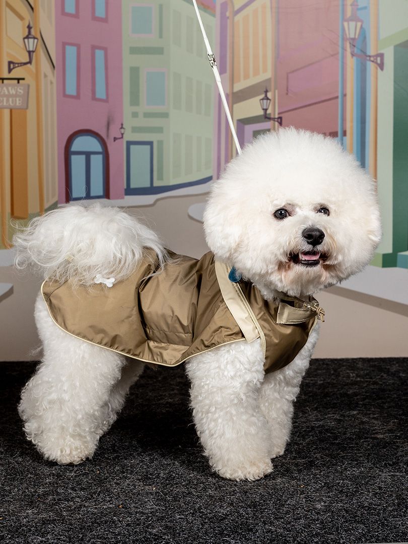 Produkt DCR0223802 Bild 6