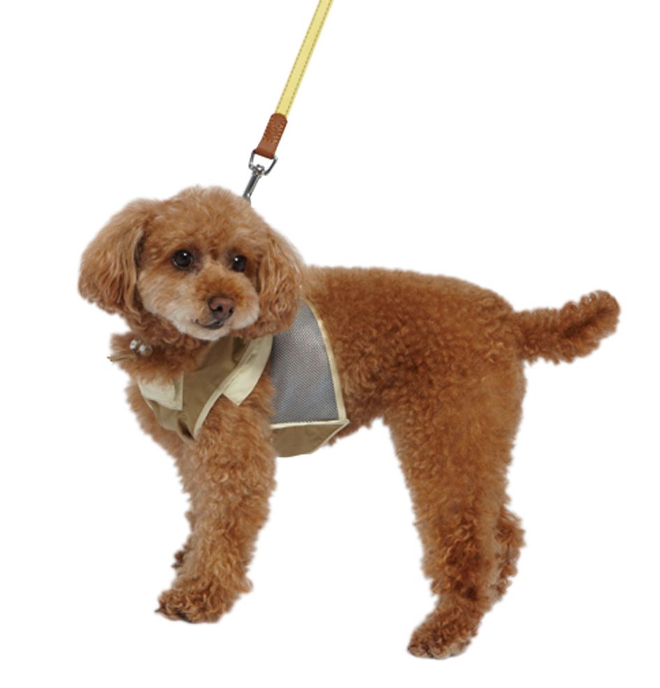 Produkt DCR0223802 Bild 9