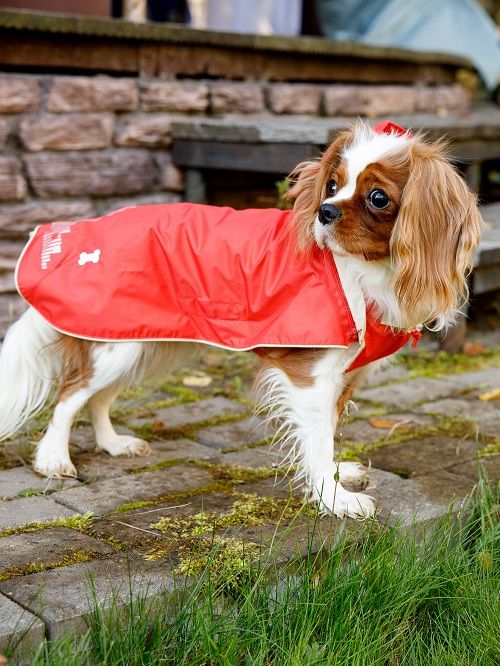 Produkt DCR0641721 Bild 12