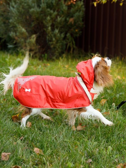 Produkt DCR0641721 Bild 14