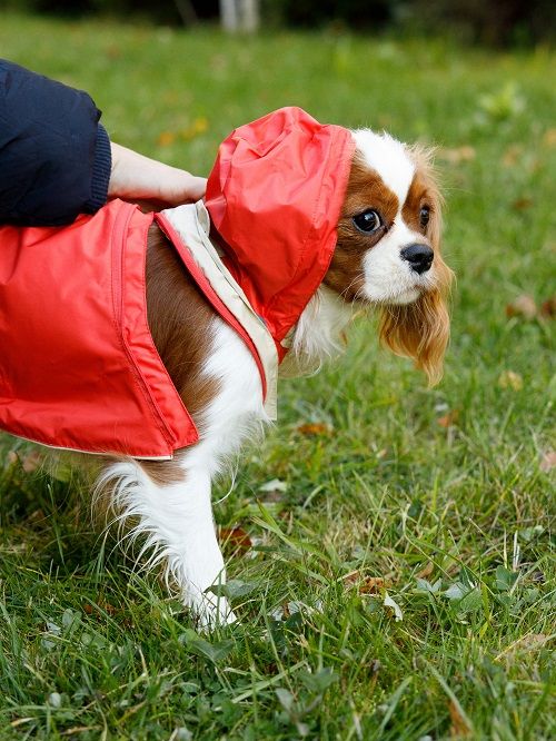 Produkt DCR0641721 Bild 19