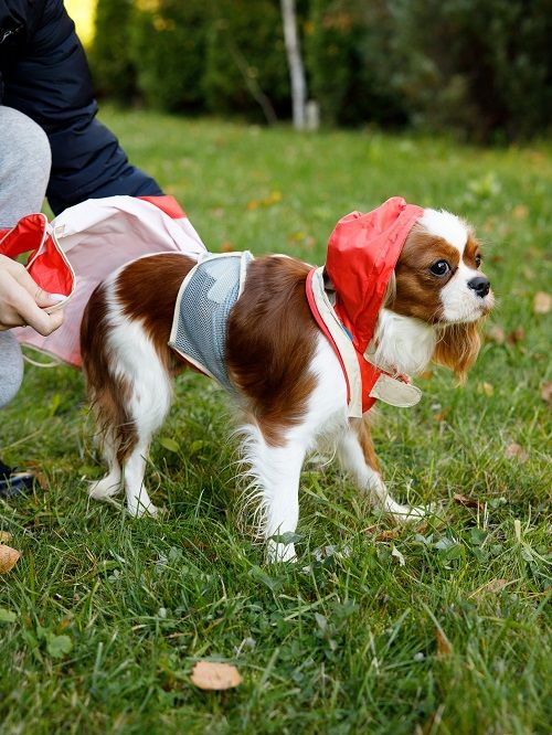 Produkt DCR0641721 Bild 21