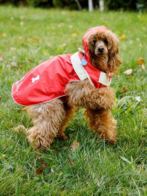 Produkt DCR0641721 Bild 25