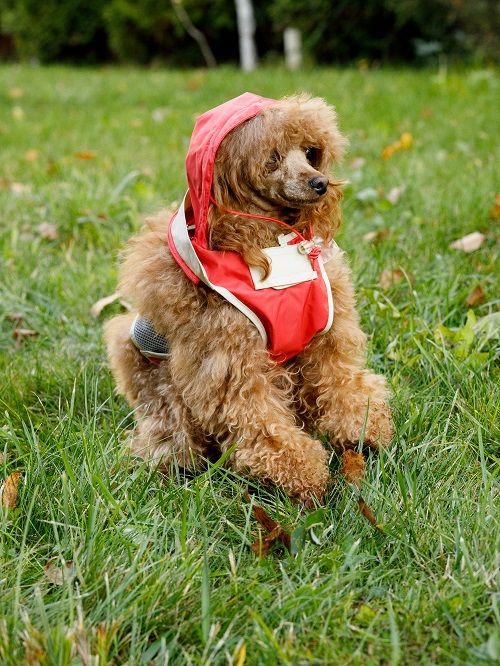 Produkt DCR0641721 Bild 27