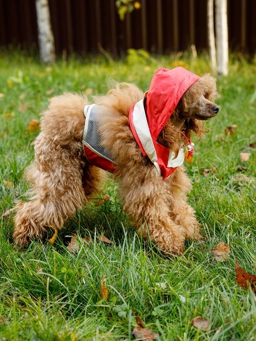 Produkt DCR0641721 Bild 28