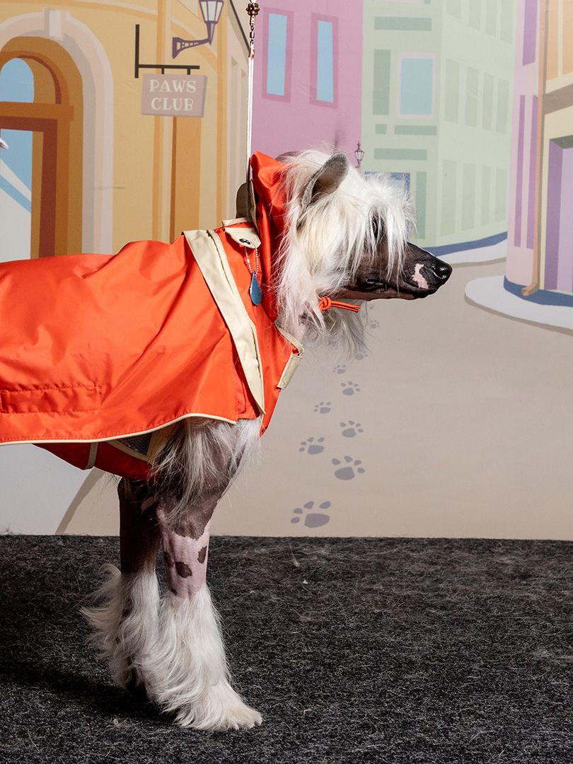 Produkt DCR0641721 Bild 3