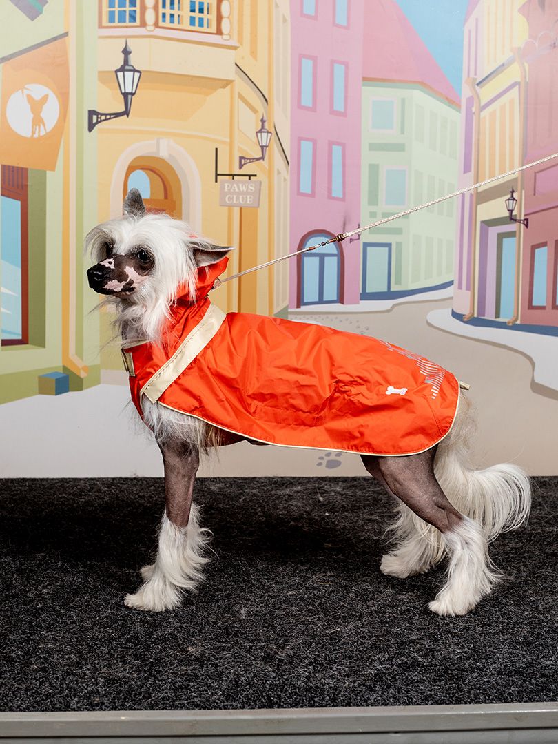 Produkt DCR0641721 Bild 4