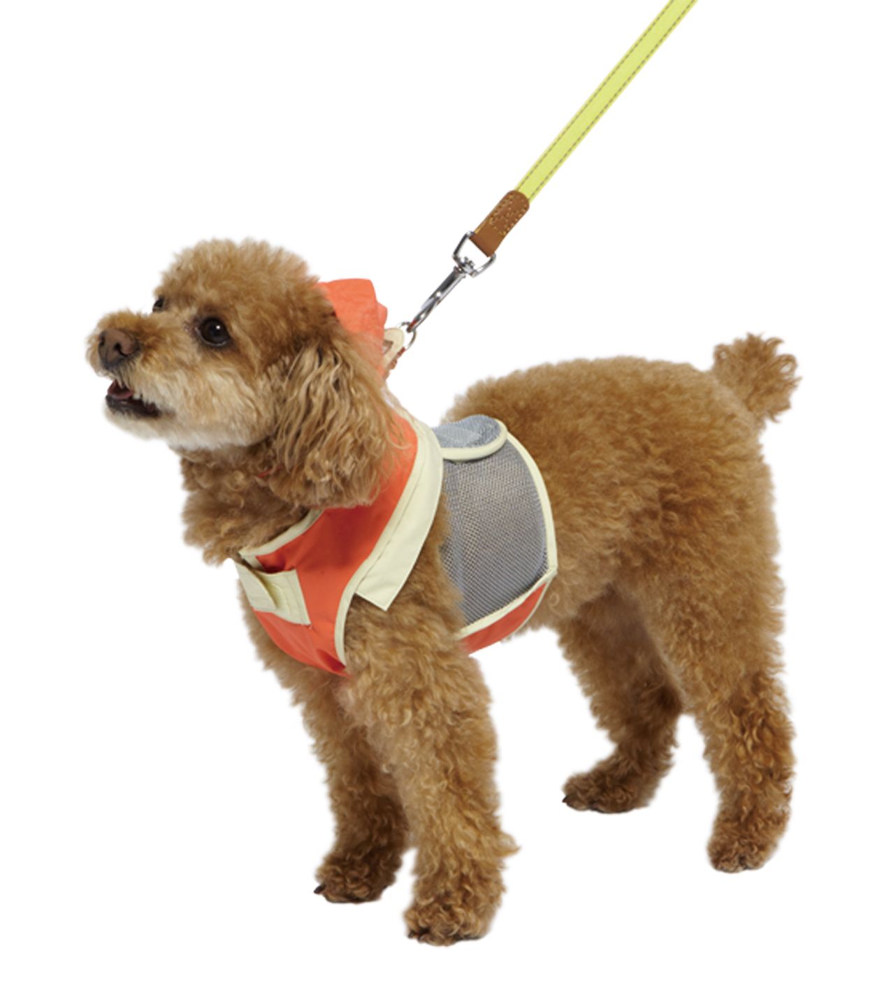 Produkt DCR0641721 Bild 8