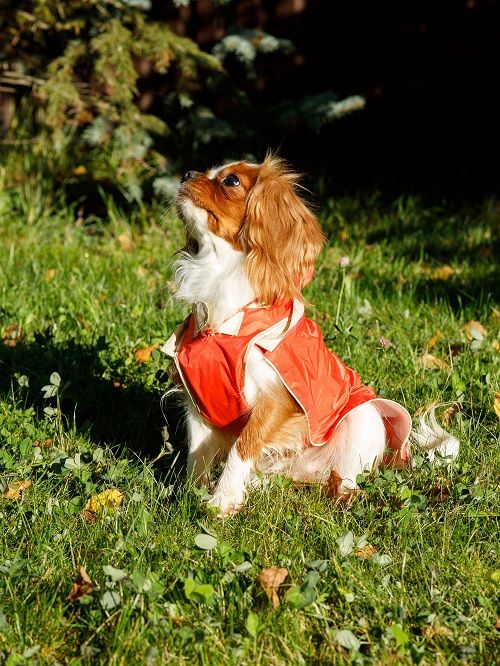 Produkt DCR0641790 Bild 10