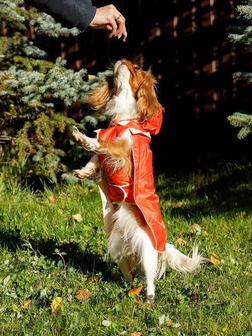 Produkt DCR0641790 Bild 11