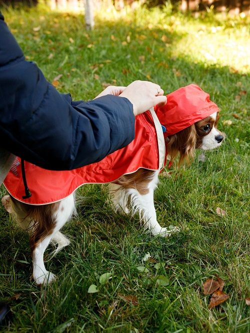 Produkt DCR0641790 Bild 13