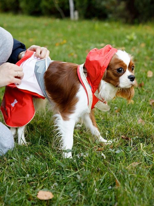 Produkt DCR0641790 Bild 15