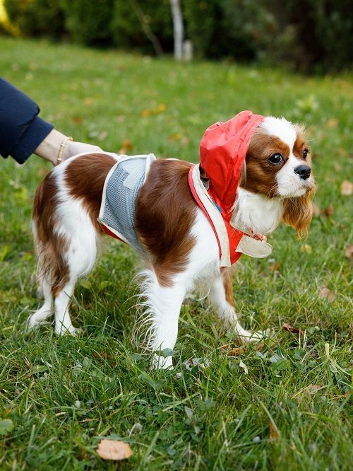 Produkt DCR0641790 Bild 17