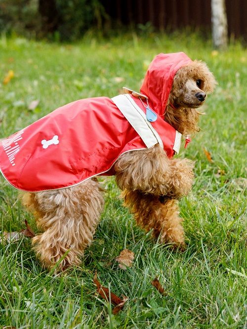 Produkt DCR0641790 Bild 19