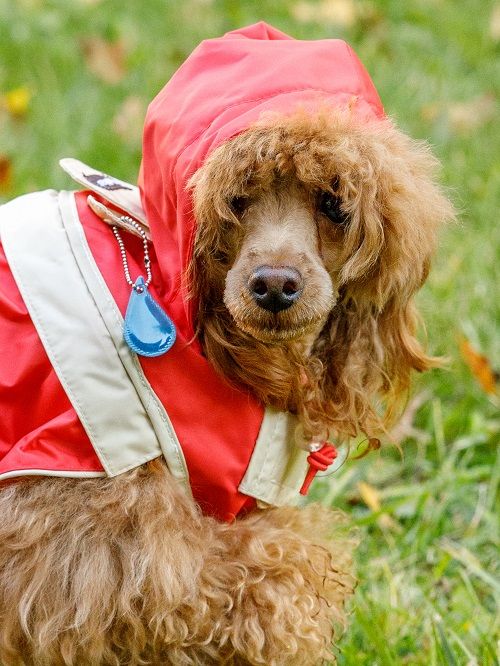 Produkt DCR0641790 Bild 21