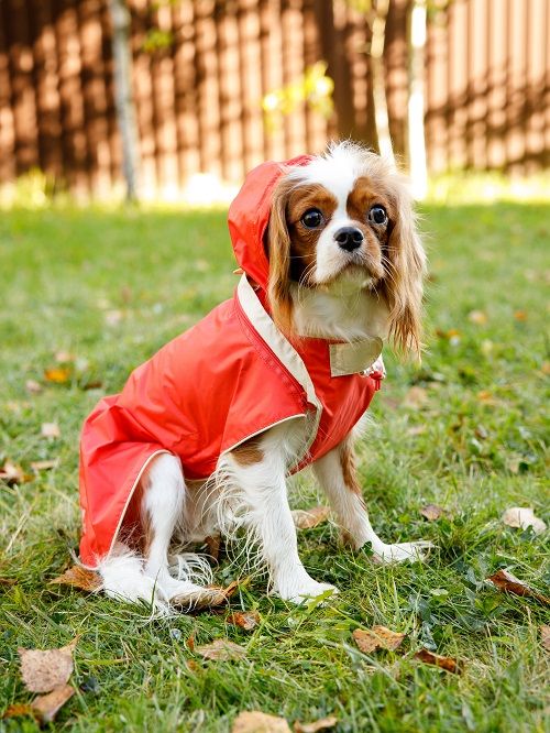 Produkt DCR0641790 Bild 6