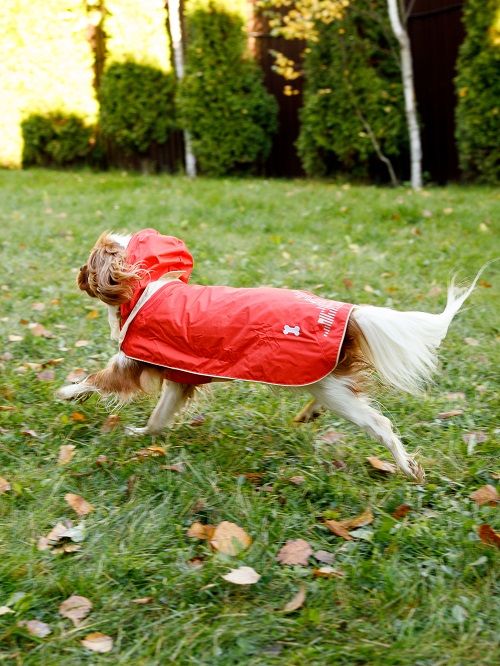 Produkt DCR0641790 Bild 8