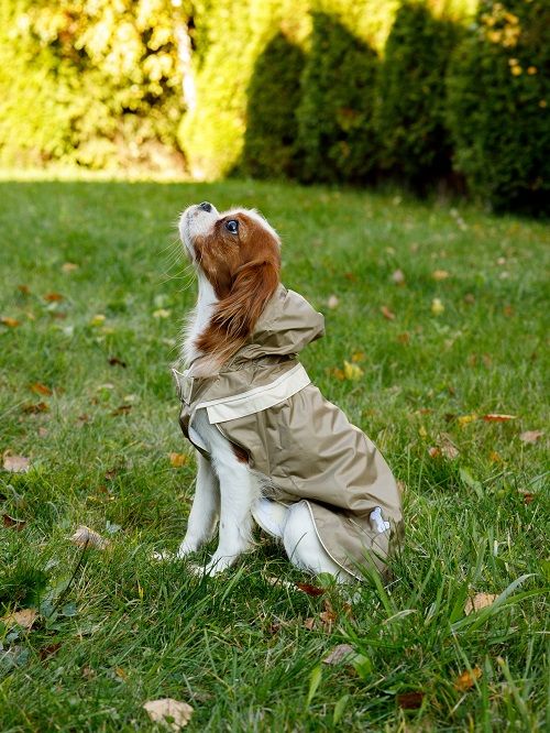 Produkt DCR0641813 Bild 11