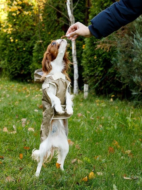 Produkt DCR0641813 Bild 12