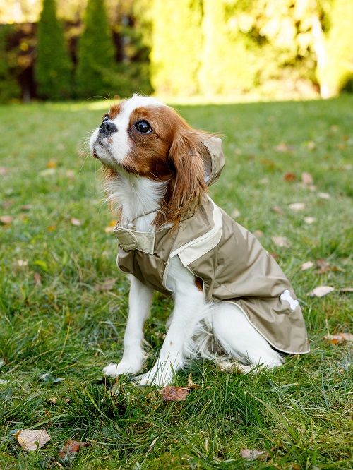 Produkt DCR0641813 Bild 9