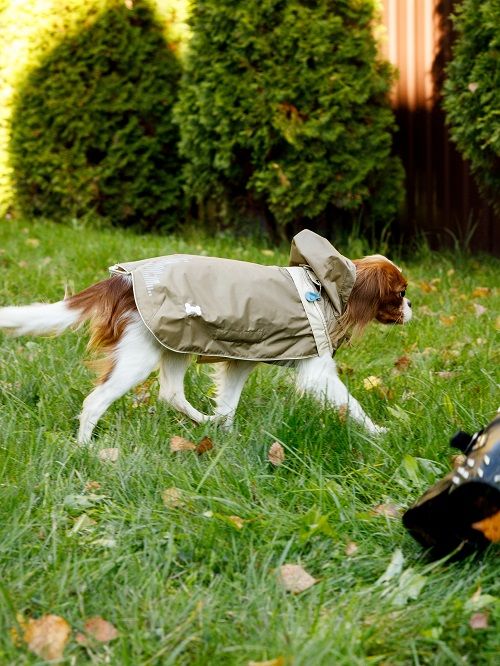 Produkt DCR0641820 Bild 5