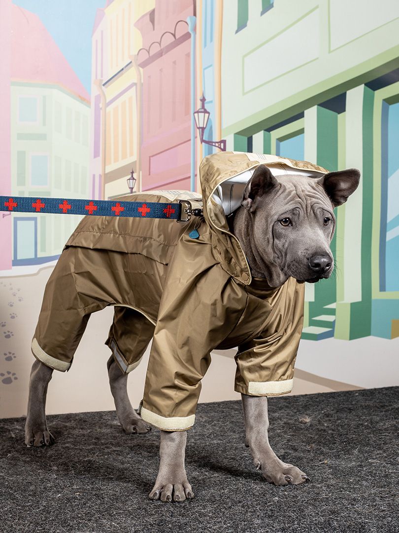 Produkt DCR0641844 Bild 5