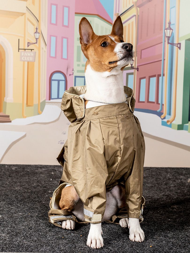 Produkt DCR0641851 Bild 2