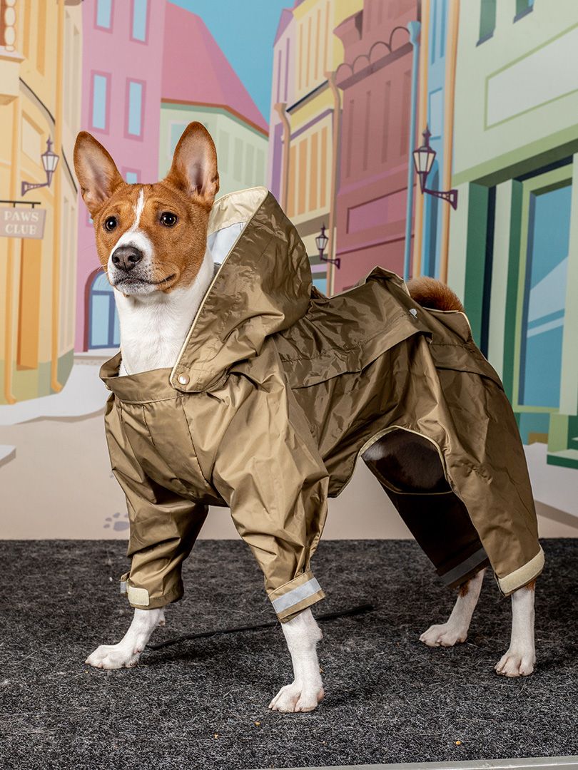 Produkt DCR0641851 Bild 3