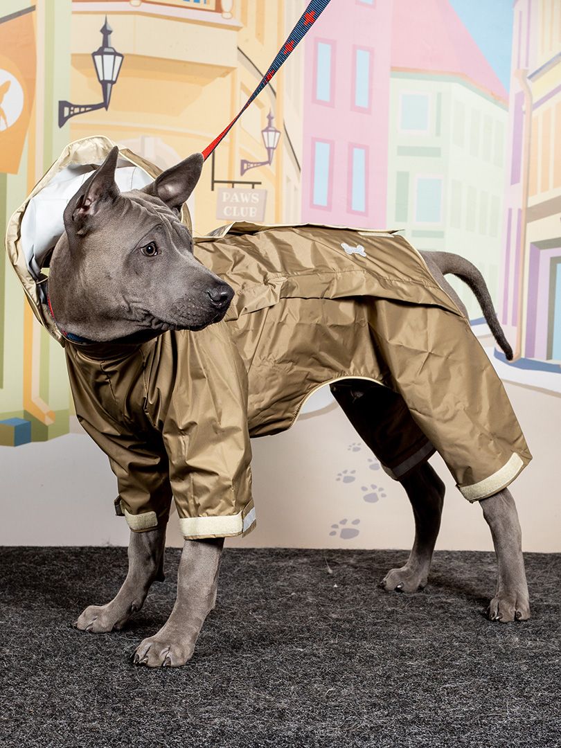 Produkt DCR0641851 Bild 4