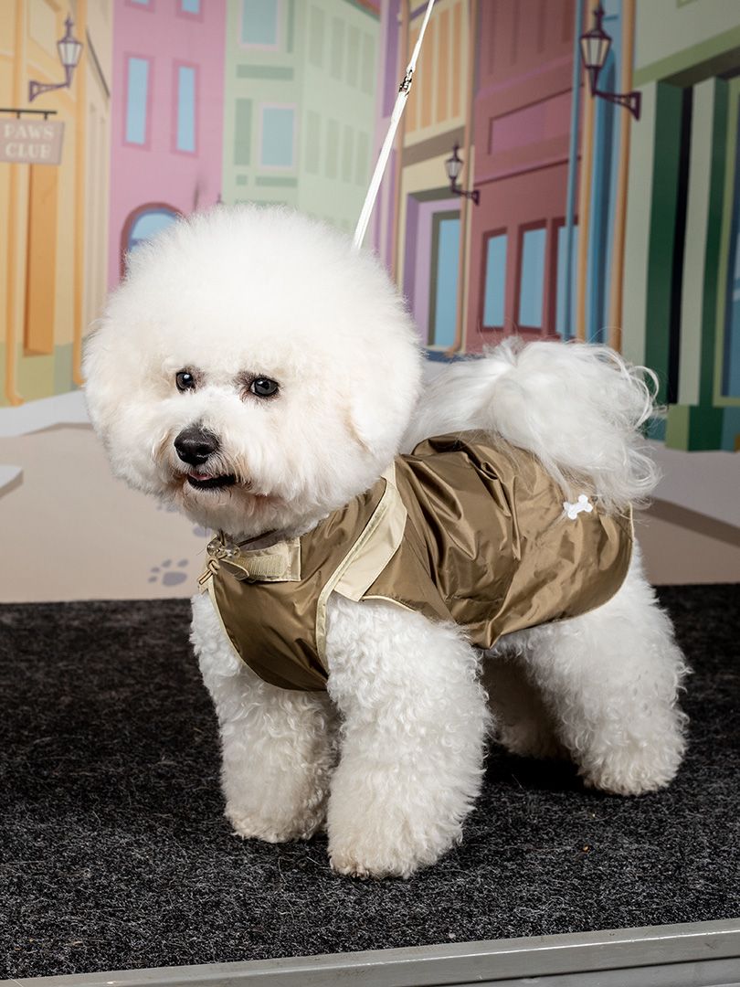 Produkt DCR0641875 Bild 10