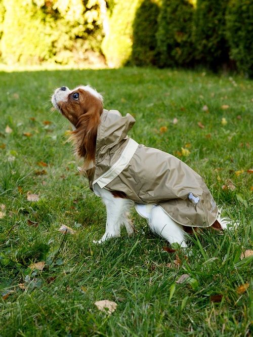 Produkt DCR0641875 Bild 2