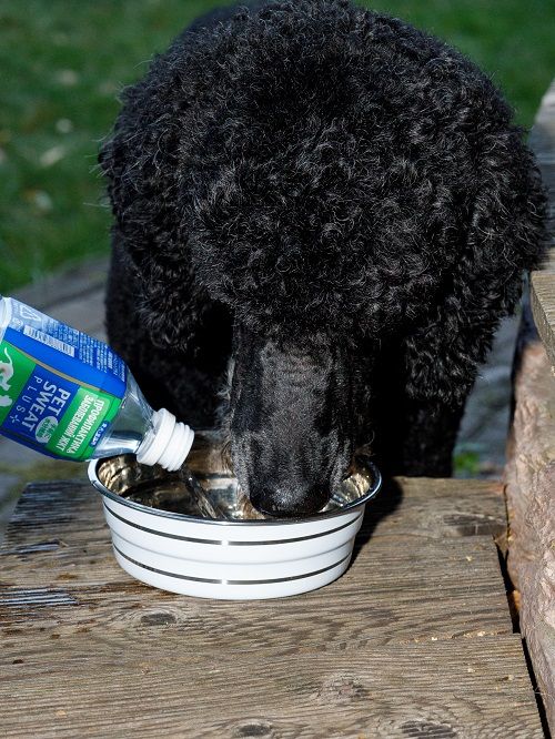 Produkt DEB0659800 Bild 10