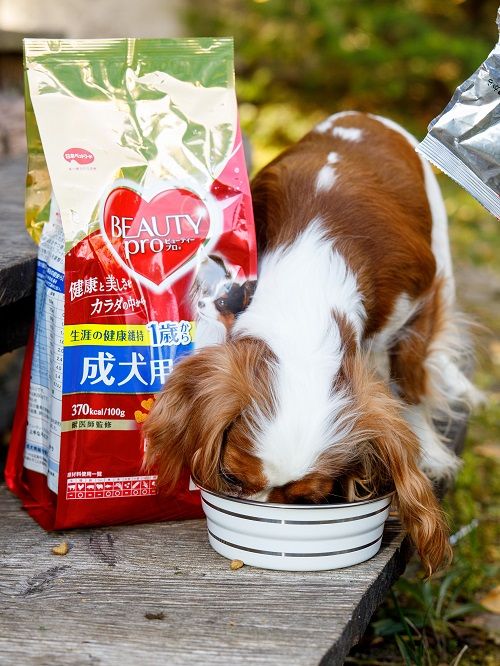 Produkt DEB0659800 Bild 6