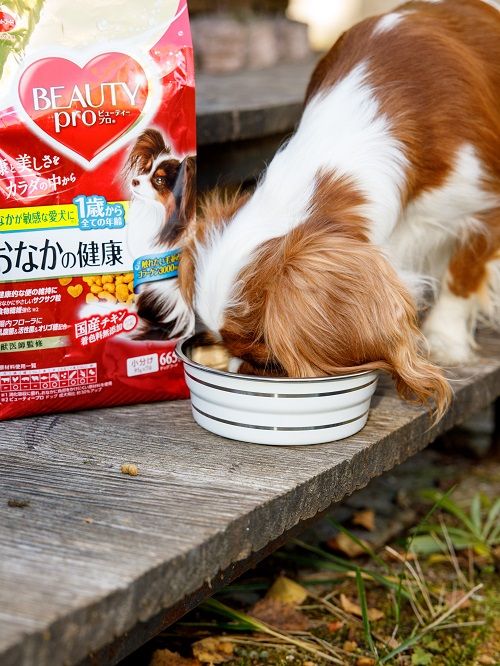 Produkt DEB0659800 Bild 7