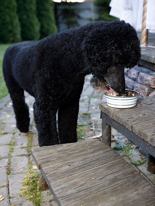 Produkt DEB0659800 Bild 8