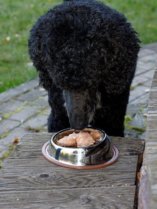 Product DEB0683317 photo 4