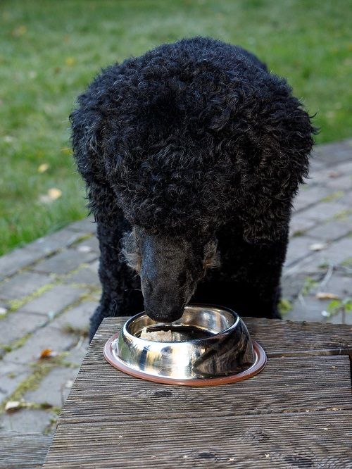 Product DEB0683317 photo 6