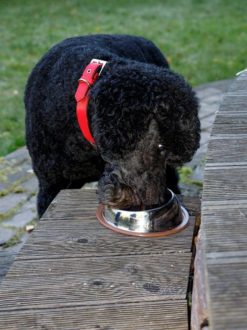 Produkt DEB0683324 Bild 2